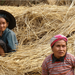Risk Assessment Laos