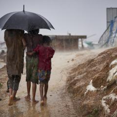 ASEAN and the Rakhine Crisis
