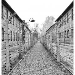 Yom Hashoah 2021 Holocaust Remembrance Day