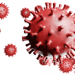 COVID 19 Virus
