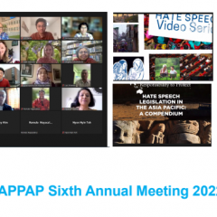Sixth Annual APPAP Meeting